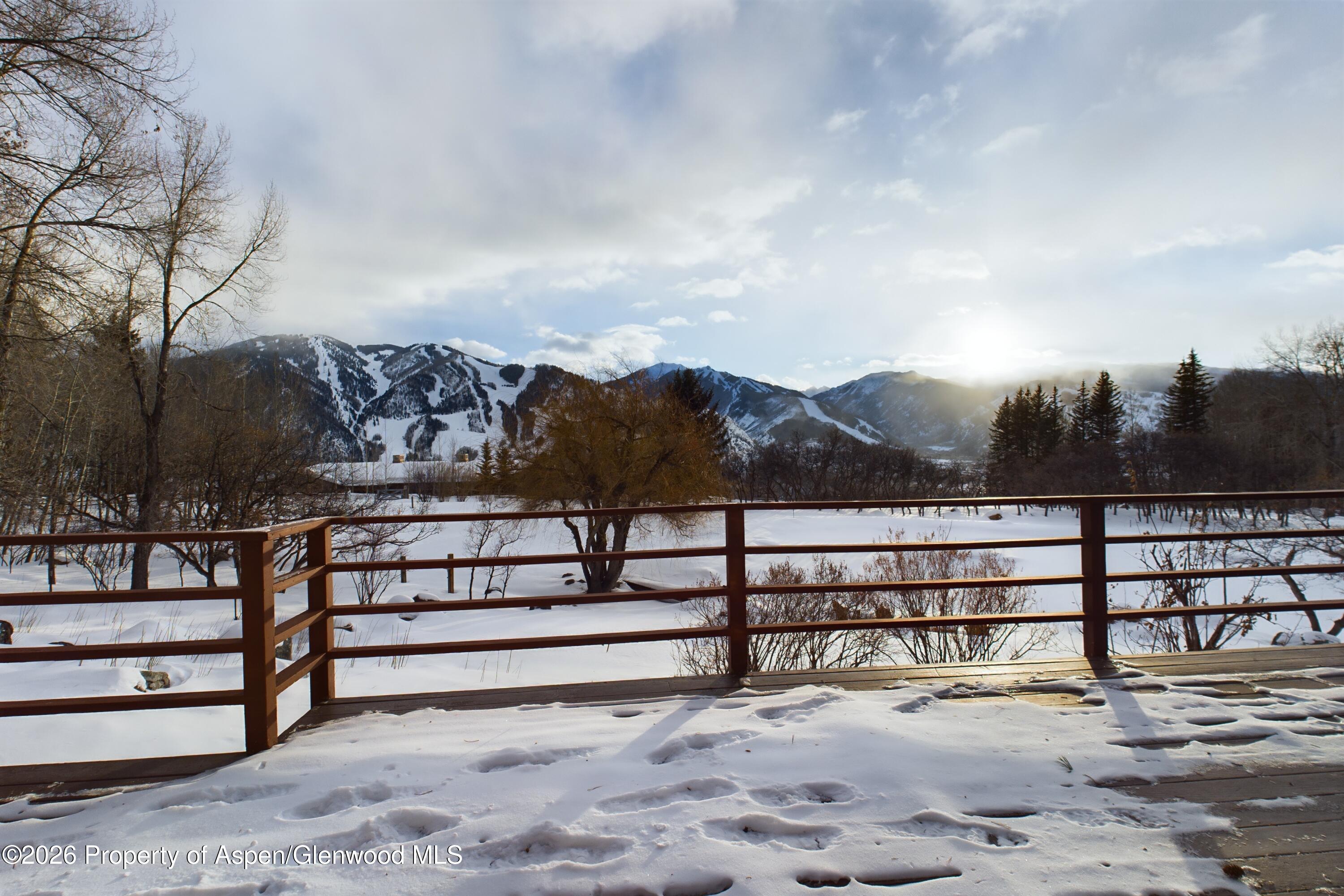209 East Reds Road Aspen, CO 81612 - Photo 16 of 54 0209 E Reds Rd-19