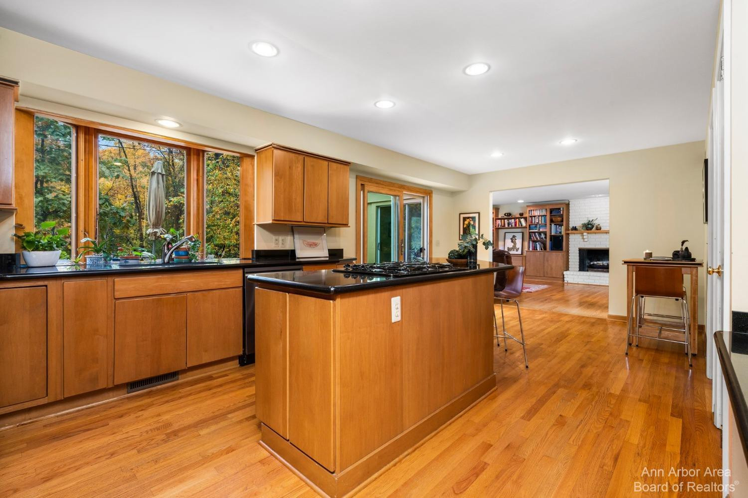 1301 Bird Road Ann Arbor, MI 48103 - Photo 18 of 94 Photo 20