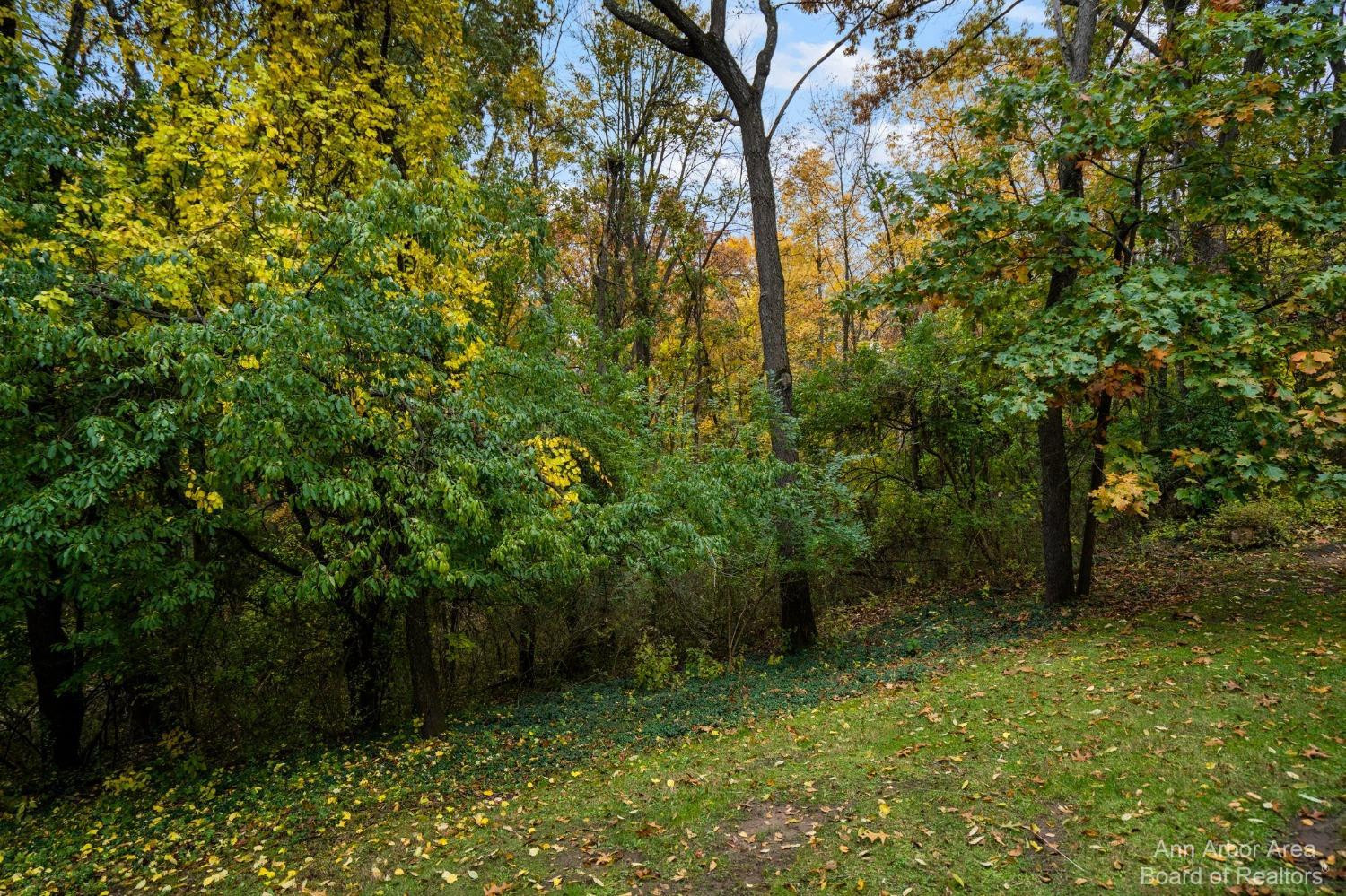 1301 Bird Road Ann Arbor, MI 48103 - Photo 74 of 94 Photo 77