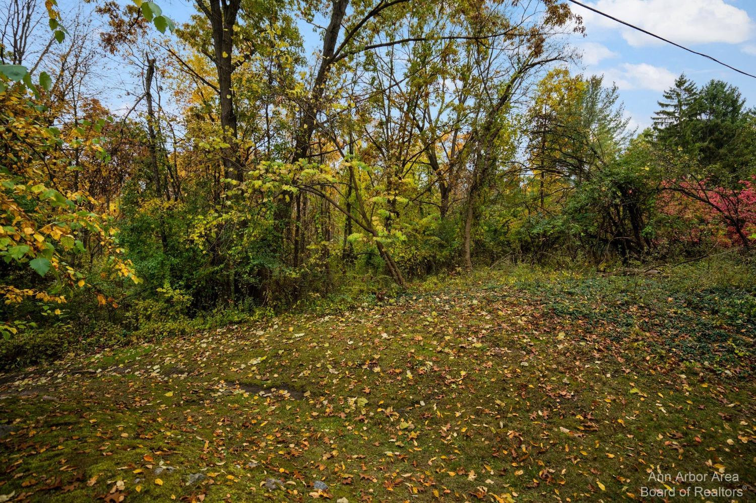 1301 Bird Road Ann Arbor, MI 48103 - Photo 78 of 94 Photo 81