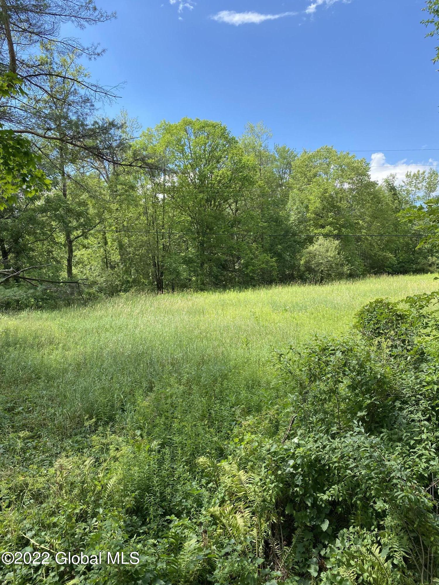 0 Ryder Road Whitehall, NY 12887 - Photo 1 of 5 7B487212-EF77-445E-8090-9F81480397EA