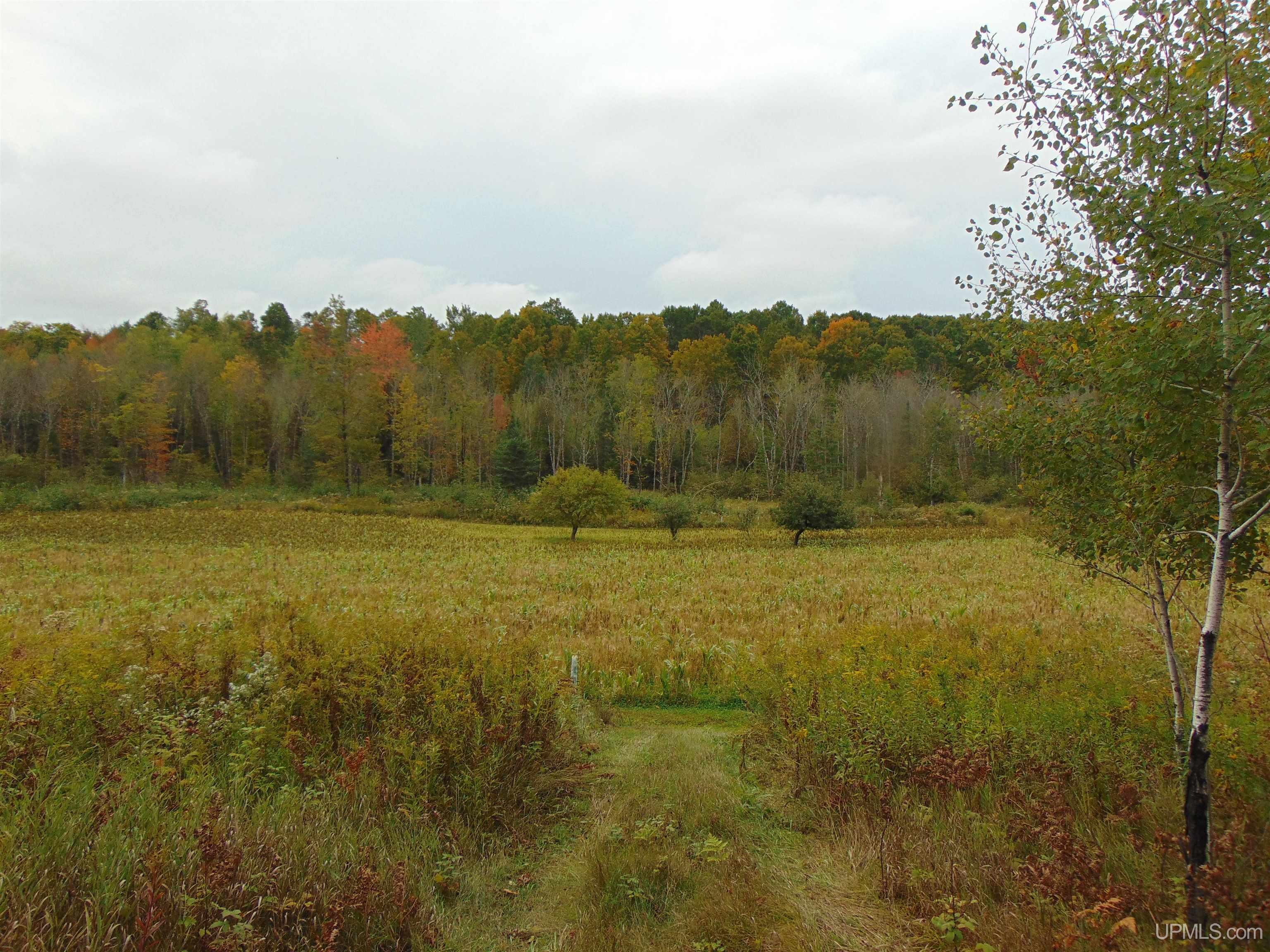 2792 County Line Road Vulcan, MI 49892 - Photo 76 of 99