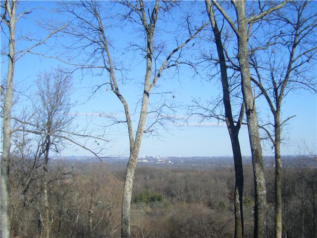 138 Jocelyn Hills Road Nashville, TN 37205 - Photo 1 of 1 a view of a yard in a forest