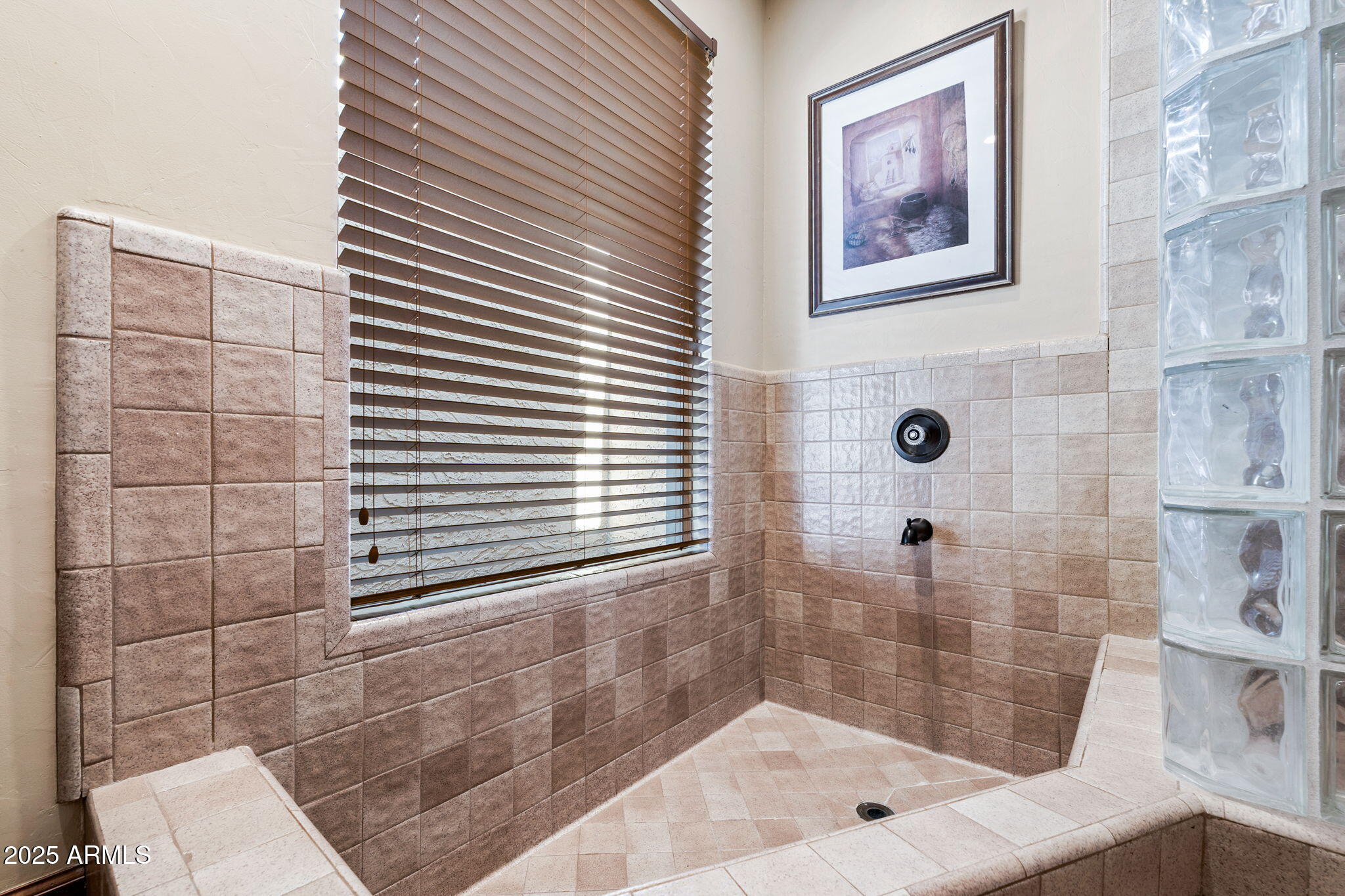 9972 East Del Monte Avenue Gold Canyon, AZ 85118 - Photo 11 of 49 a bathroom with a shower