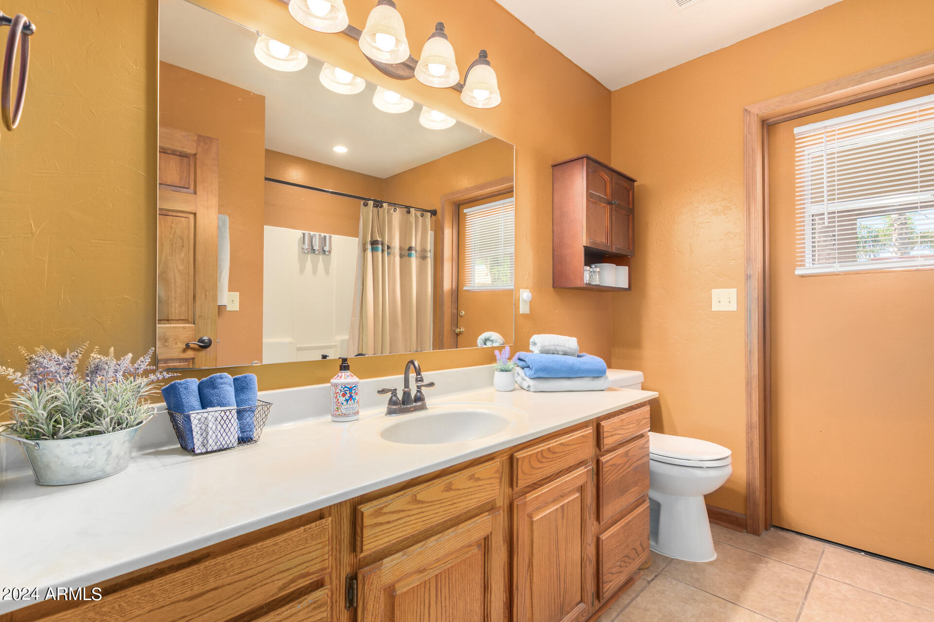 9972 East Del Monte Avenue Gold Canyon, AZ 85118 - Photo 36 of 49 a bathroom with a sink a mirror and a toilet