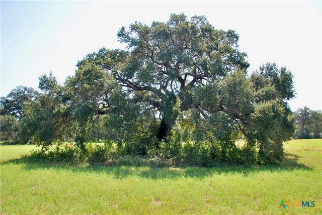 $115,000 | Lot 4 Harvell Lane, Schulenburg, TX 78956