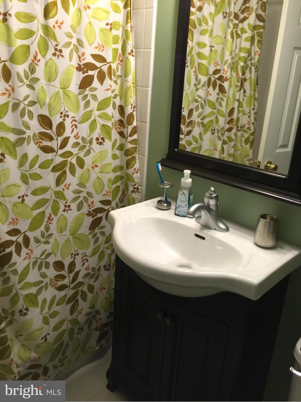 8068 Sleepy View Lane Springfield, VA 22153 - Photo 9 of 24 Bath (Master)