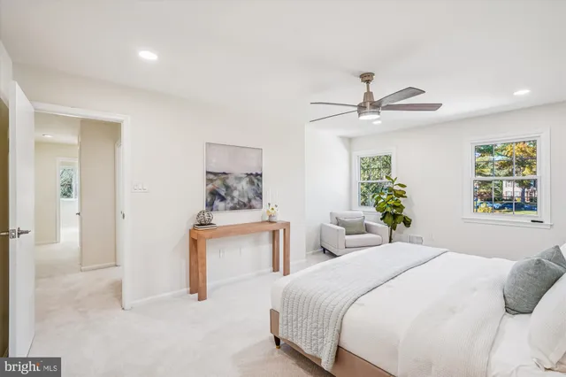 a view of a park with large trees