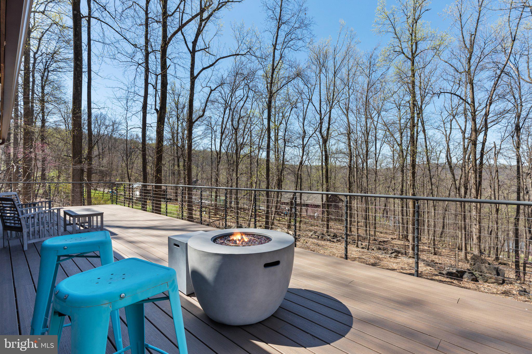 1073 Old Linden Road Linden, VA 22642 - Photo 25 of 48 Firepit conveys