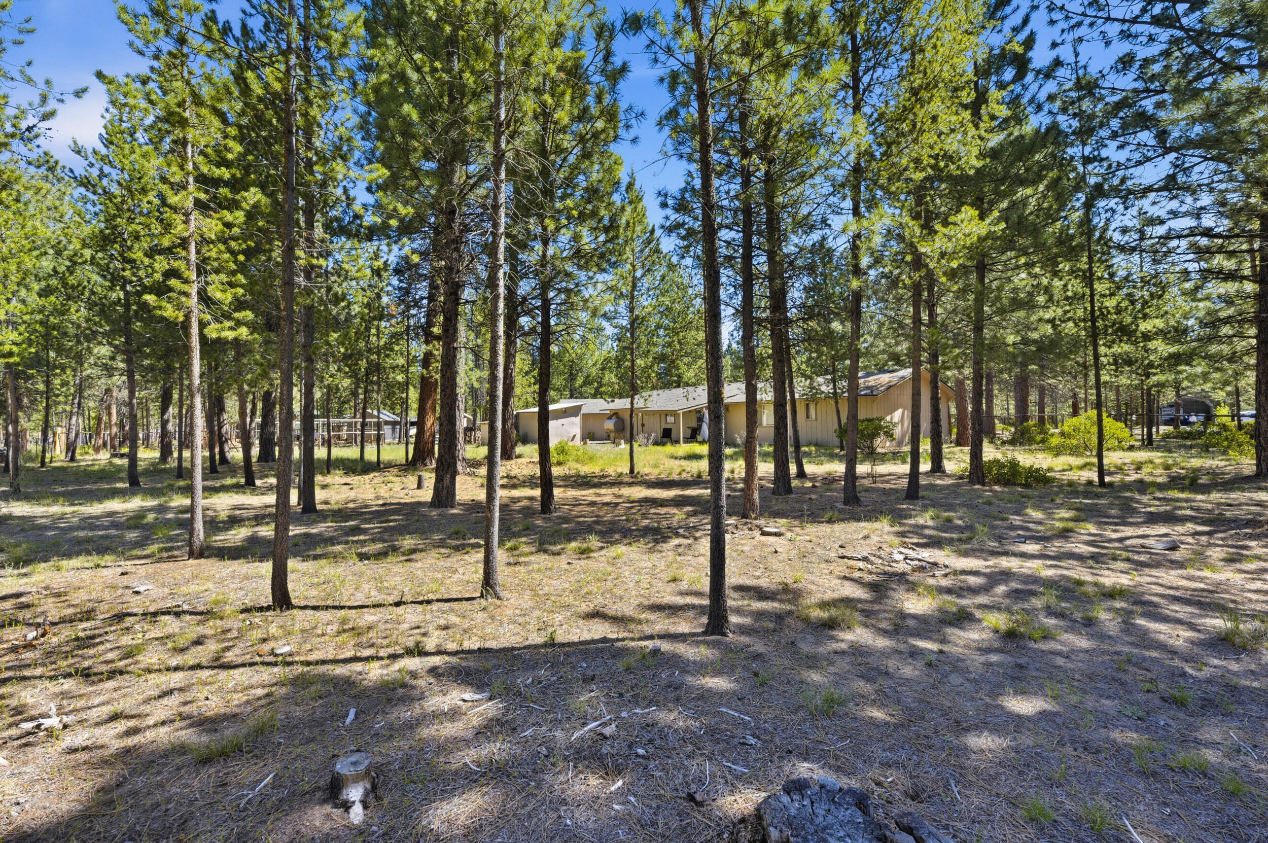 50868 Doe Loop La Pine, OR 97739 - Photo 44 of 51 a backyard of a house with lots of green space