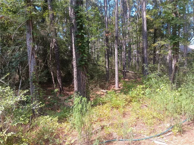 a backyard of a house with lots of green space and fountain