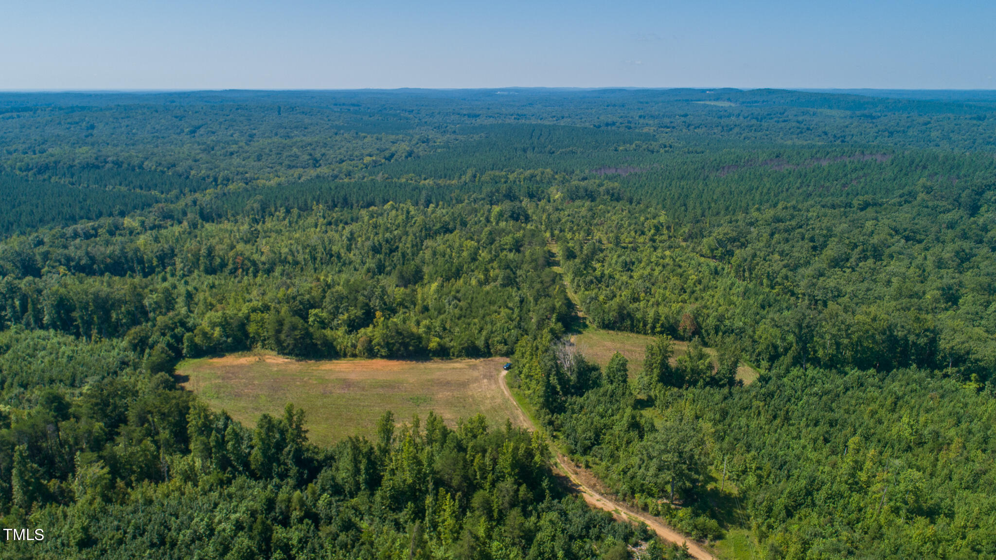 121-acres Medford Oakley Road Rougemont, NC 27572 - Photo 6 of 14 a view of a backyard