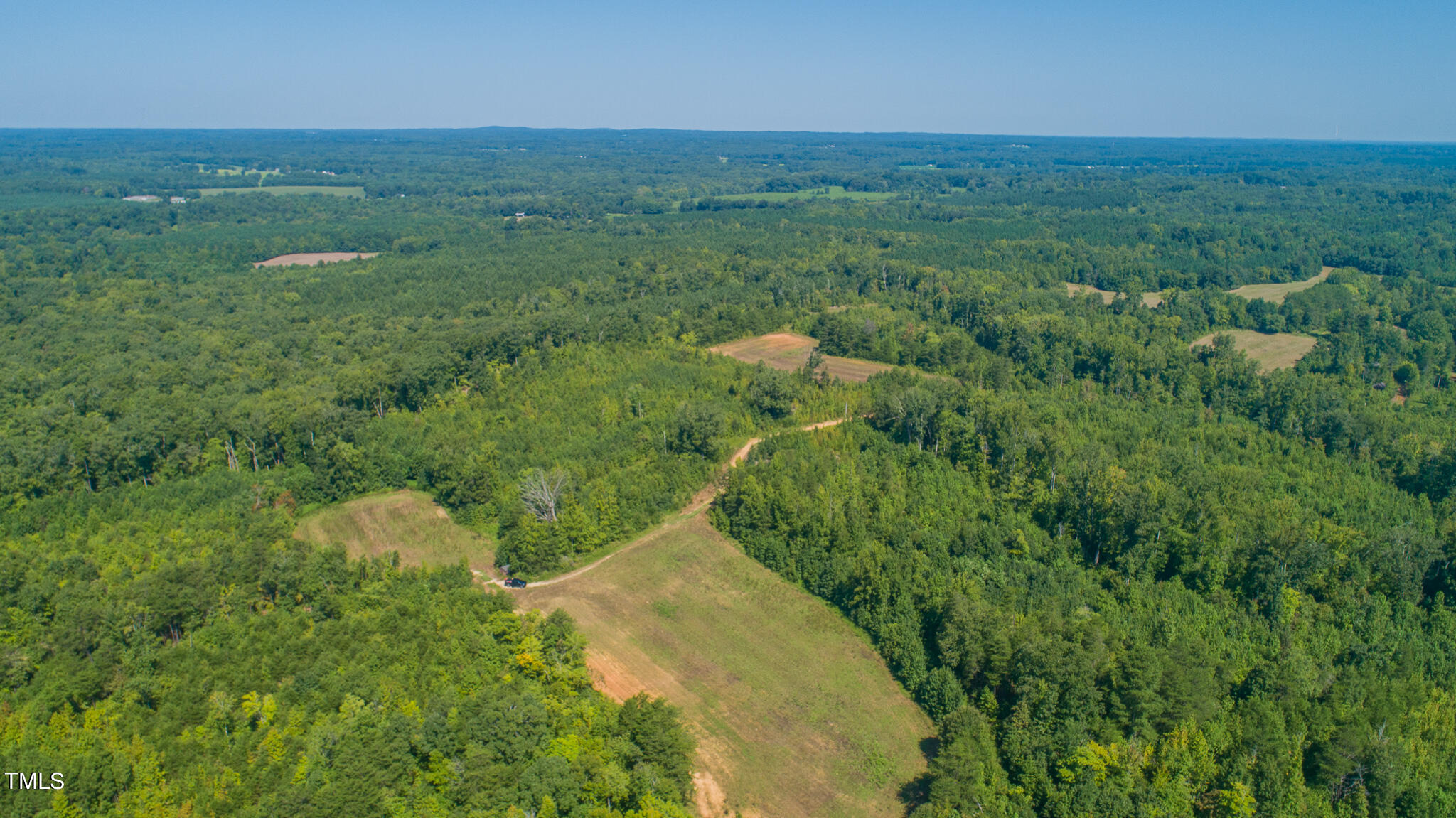 121-acres Medford Oakley Road Rougemont, NC 27572 - Photo 10 of 14 a view of a lush green forest with lots of trees