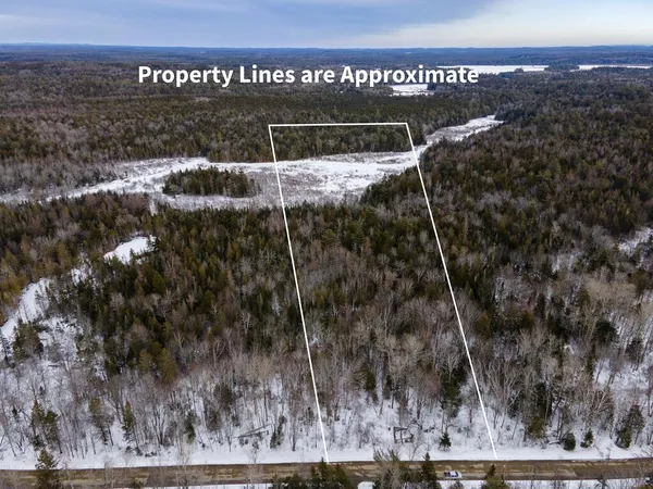 $39,900 | Lot 21 Marion Sta Road, Dennysville, ME 04628