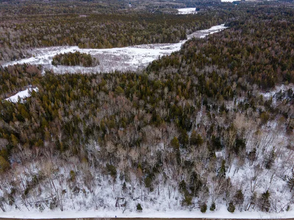 $39,900 | Lot 21 Marion Sta Road, Dennysville, ME 04628