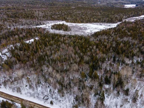 $39,900 | Lot 21 Marion Sta Road, Dennysville, ME 04628