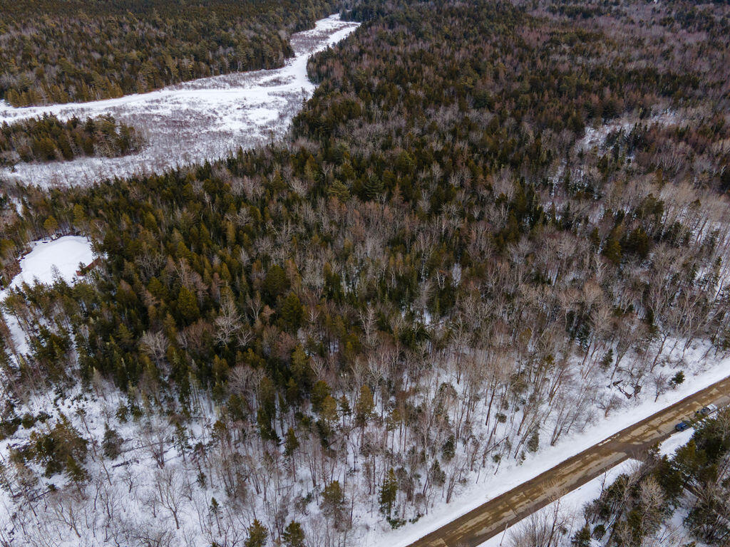 Lot 21 Marion Sta Road Dennysville, ME 04628 - Photo 5 of 9 4-DJI_0042
