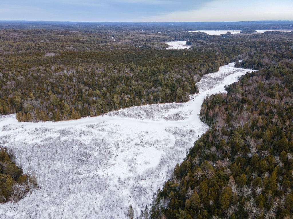 Lot 21 Marion Sta Road Dennysville, ME 04628 - Photo 8 of 9 7-DJI_0048