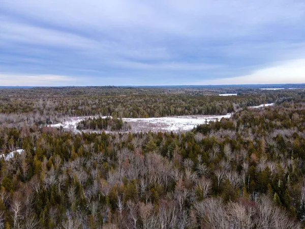 $39,900 | Lot 21 Marion Sta Road, Dennysville, ME 04628