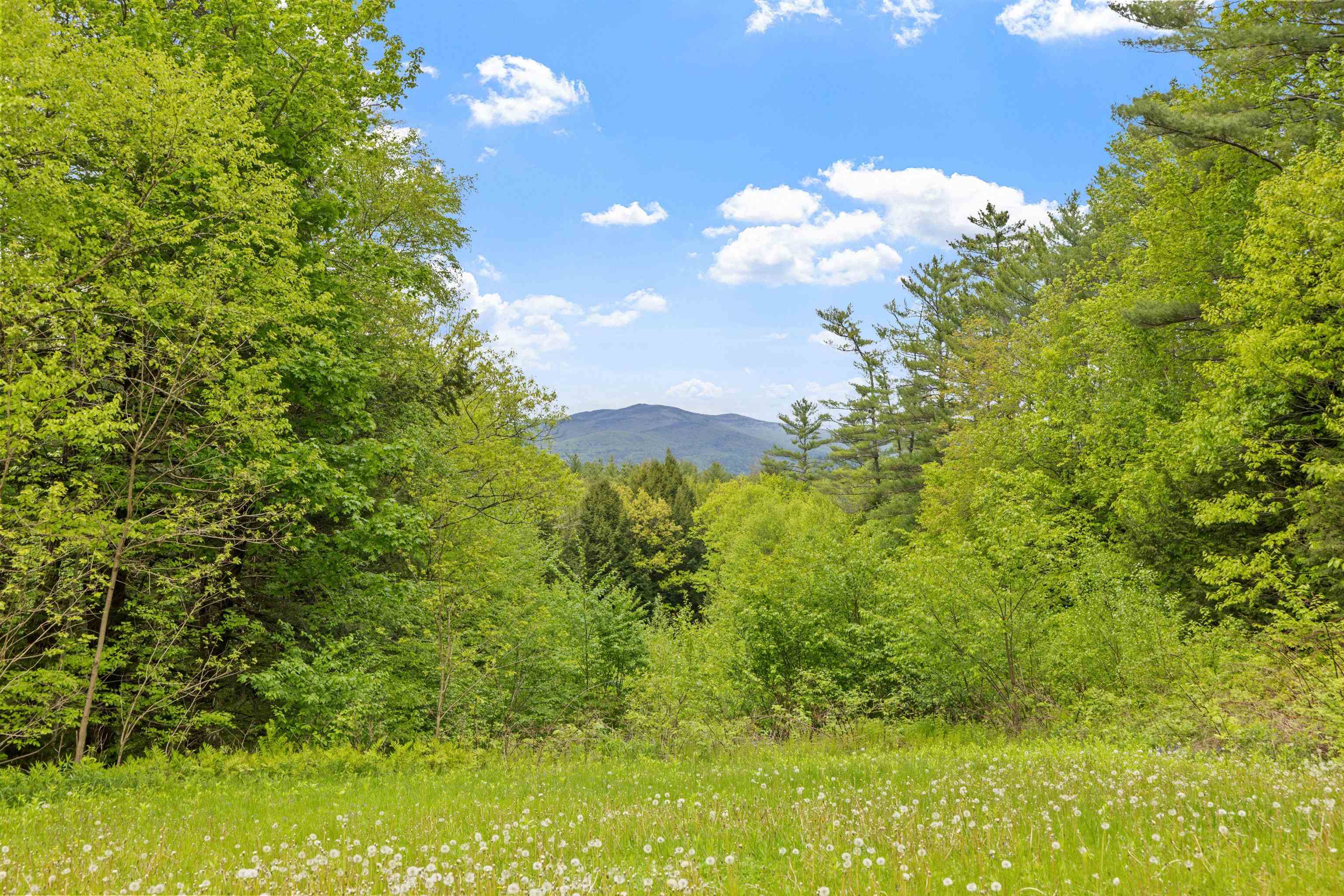 154 Bell Road Plymouth, NH 03264 - Photo 12 of 60