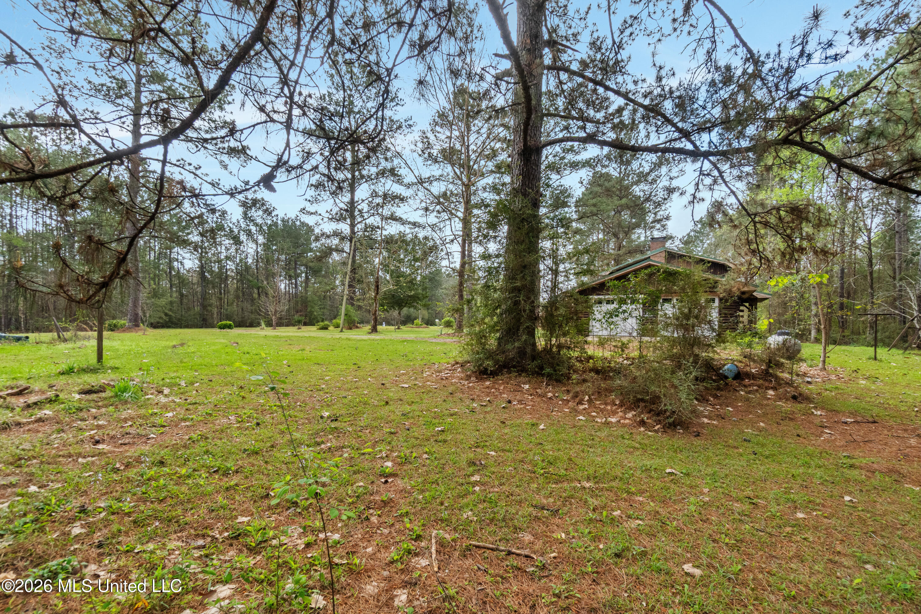 1085 Tatum Salt Dome Road Lumberton, MS 39455 - Photo 17 of 25 1085_Tatum_Salt_Dome_Rd-17