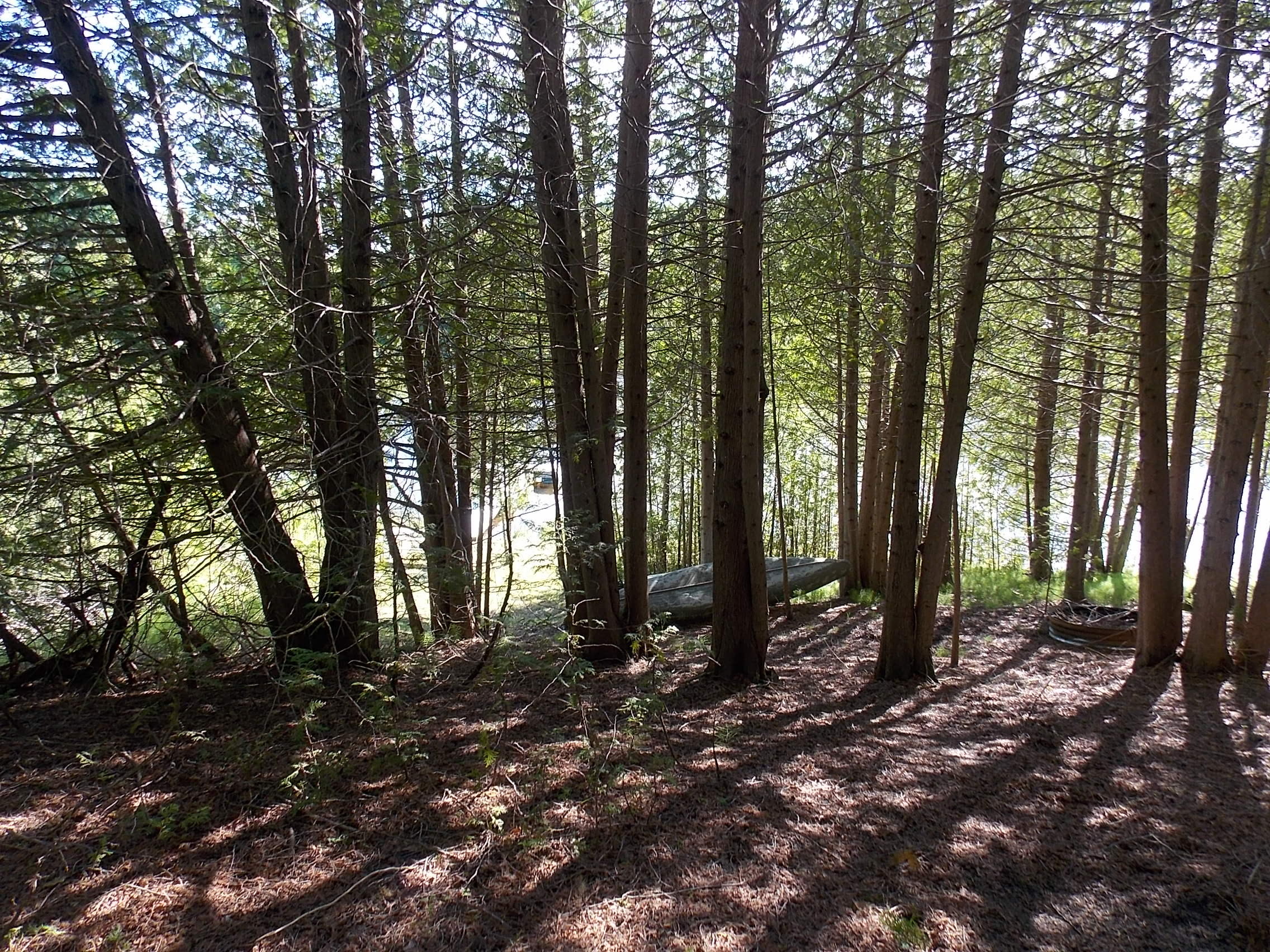 8491 North Black River Road Cheboygan, MI 49721 - Photo 19 of 22 Gallery Image 19