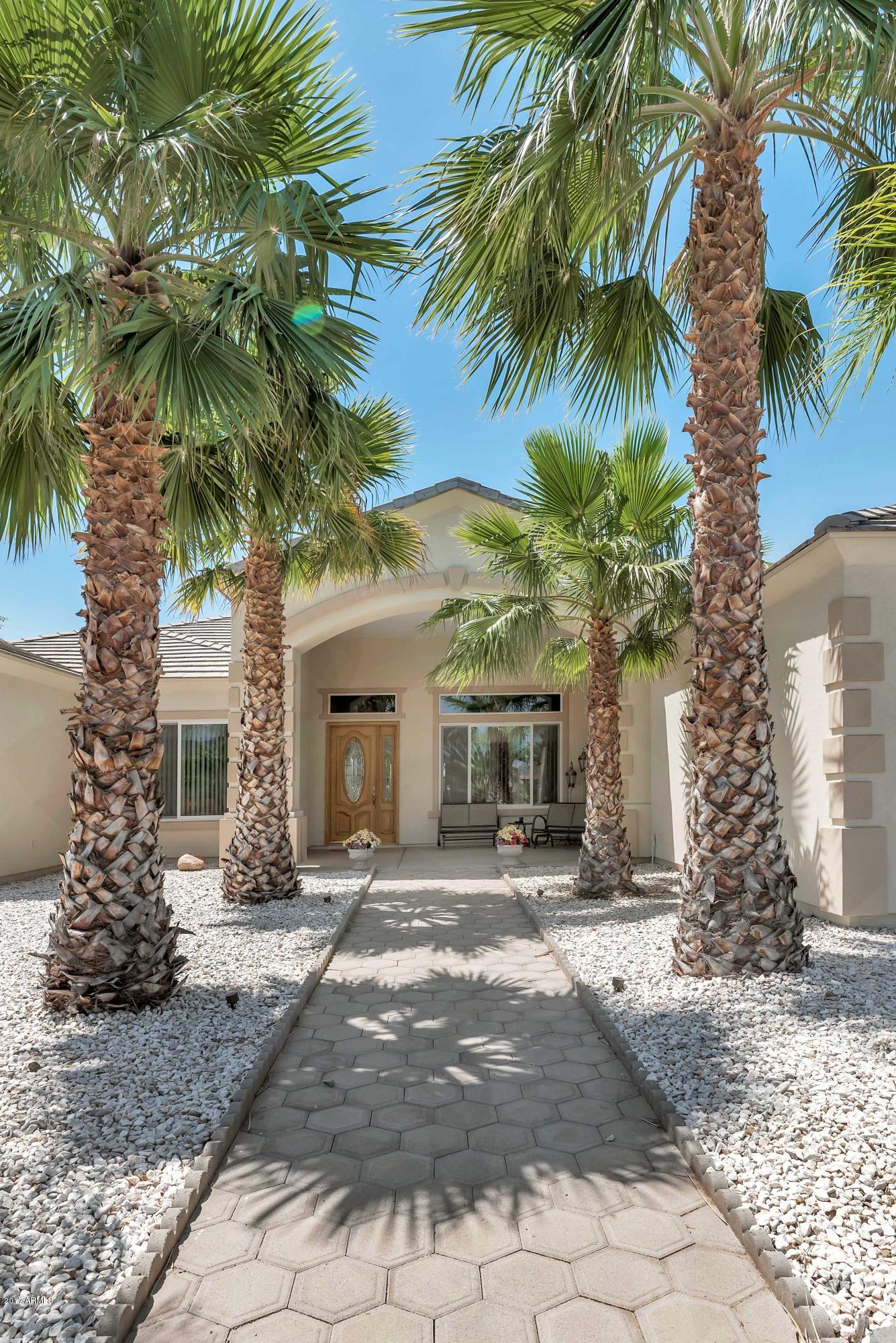 2531 West Saber Road Phoenix, AZ 85086 - Photo 4 of 50 DLB_8614