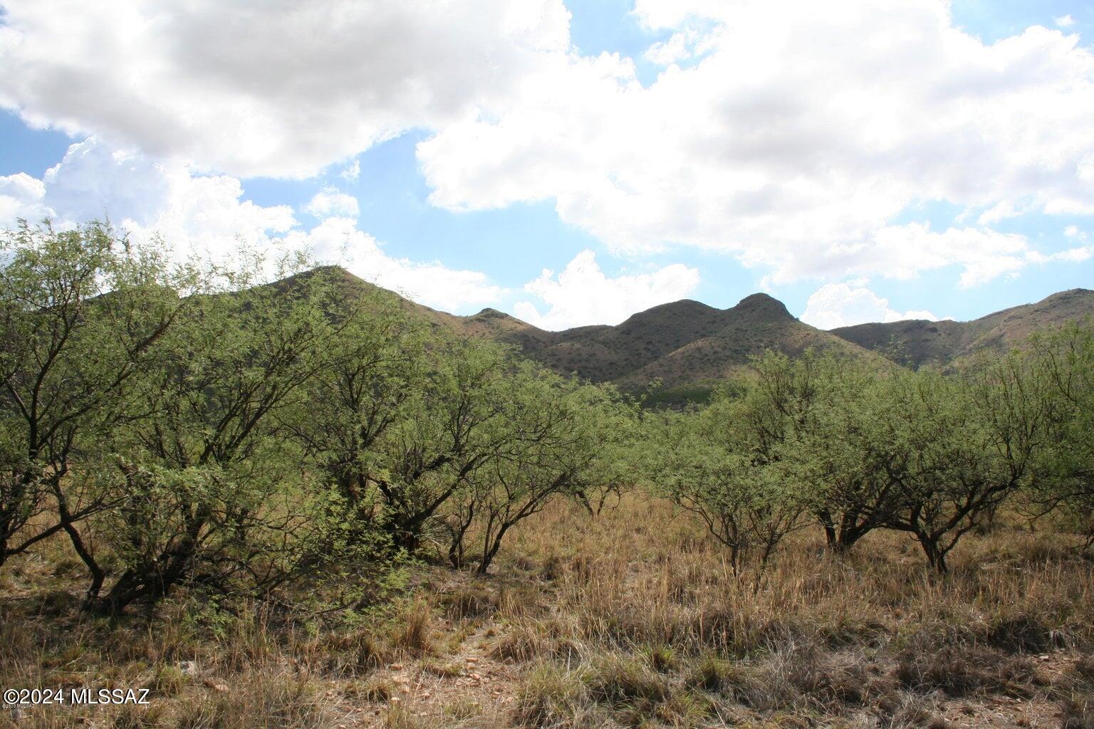 80 Morning Star Drive Rio Rico, AZ 85648 - Photo 14 of 30