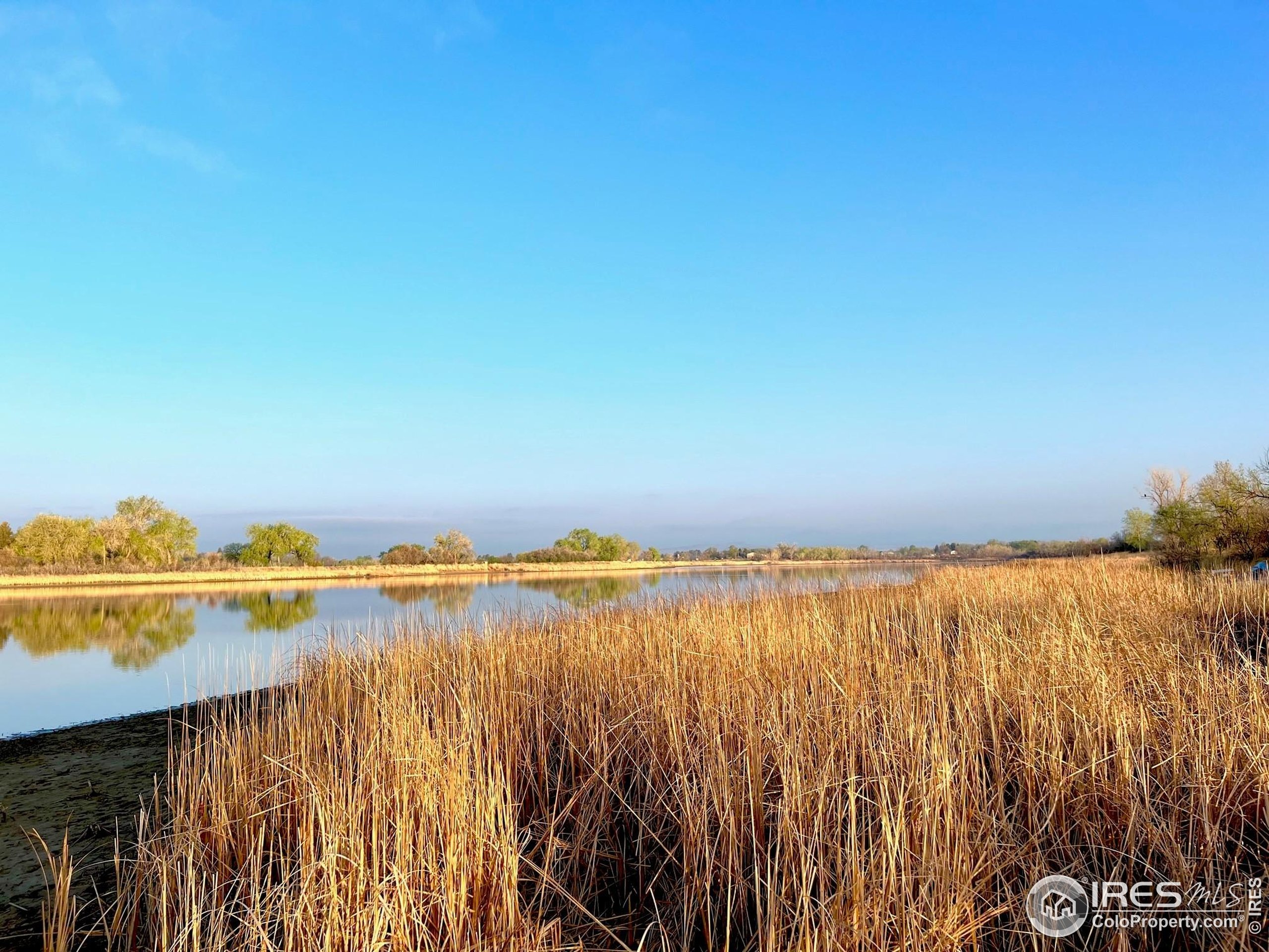 1738 Morningstar Way Fort Collins, CO 80524 - Photo 41 of 49 a view of an ocean with city