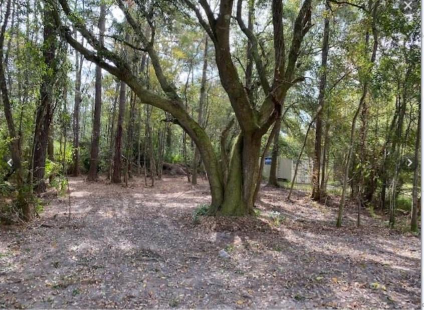 Tbd Bryan Street Slidell, LA 70460 - Photo 1 of 4 Gallery Image 1