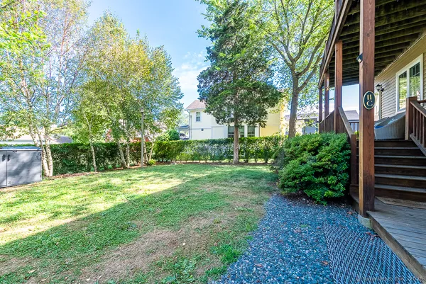 a view of a backyard with plants and large trees