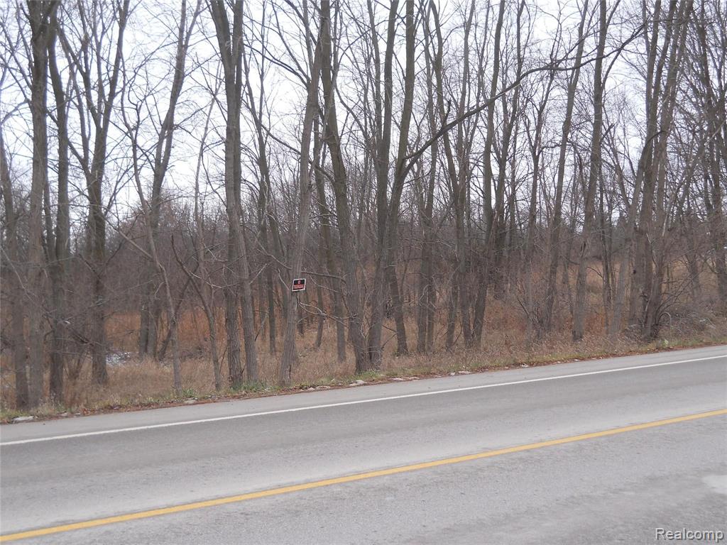 0 North Hacker Road Howell, MI 48843 - Photo 2 of 4