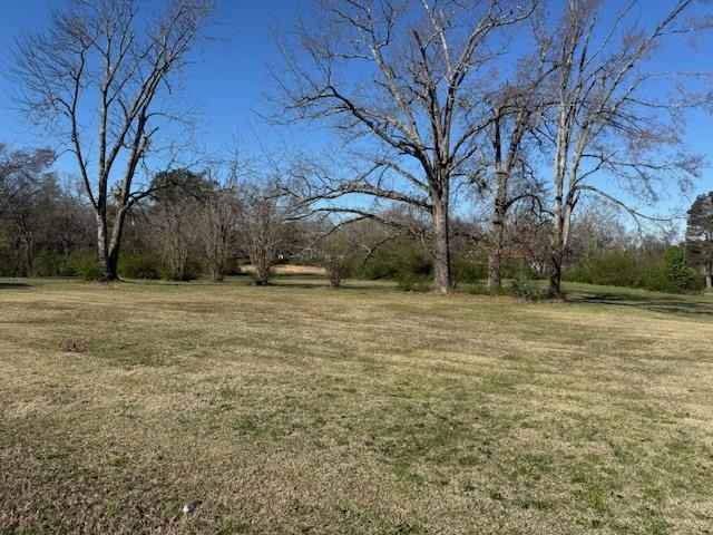 1019 Pickwick Road Savannah, TN 38372 - Photo 2 of 5