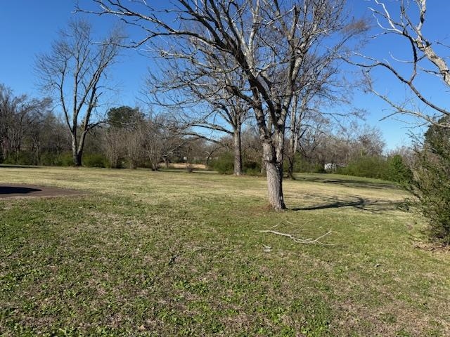 1019 Pickwick Road Savannah, TN 38372 - Photo 4 of 5