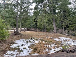 a view of outdoor space with trees