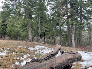 Kida Road, Unit 3 White Salmon, WA 98672 - Photo 2 of 10 a view of a backyard with trees