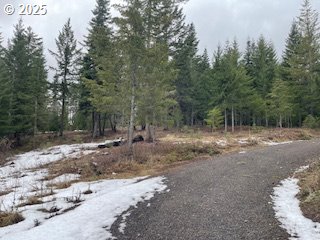 Kida Road, Unit 3 White Salmon, WA 98672 - Photo 3 of 10 a view of a forest with trees in the background