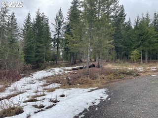 Kida Road, Unit 3 White Salmon, WA 98672 - Photo 4 of 10 a view of a forest with trees in the background