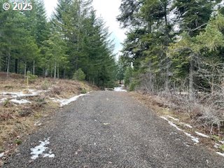 Kida Road, Unit 3 White Salmon, WA 98672 - Photo 5 of 10 a view of a forest with trees in the background