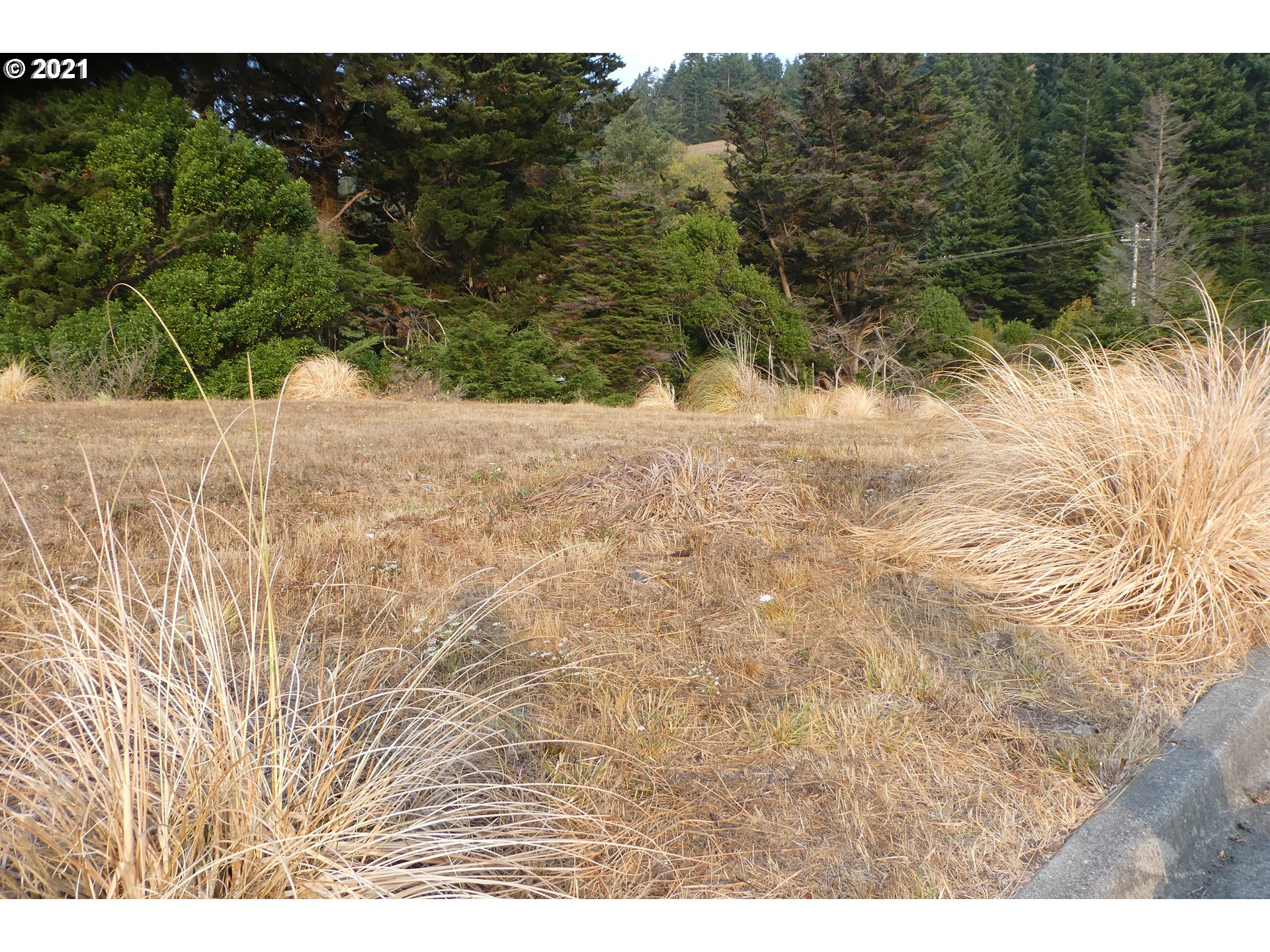 Hume Road, Unit 319 Gold Beach, OR 97444 - Photo 1 of 3 Gallery Image 1