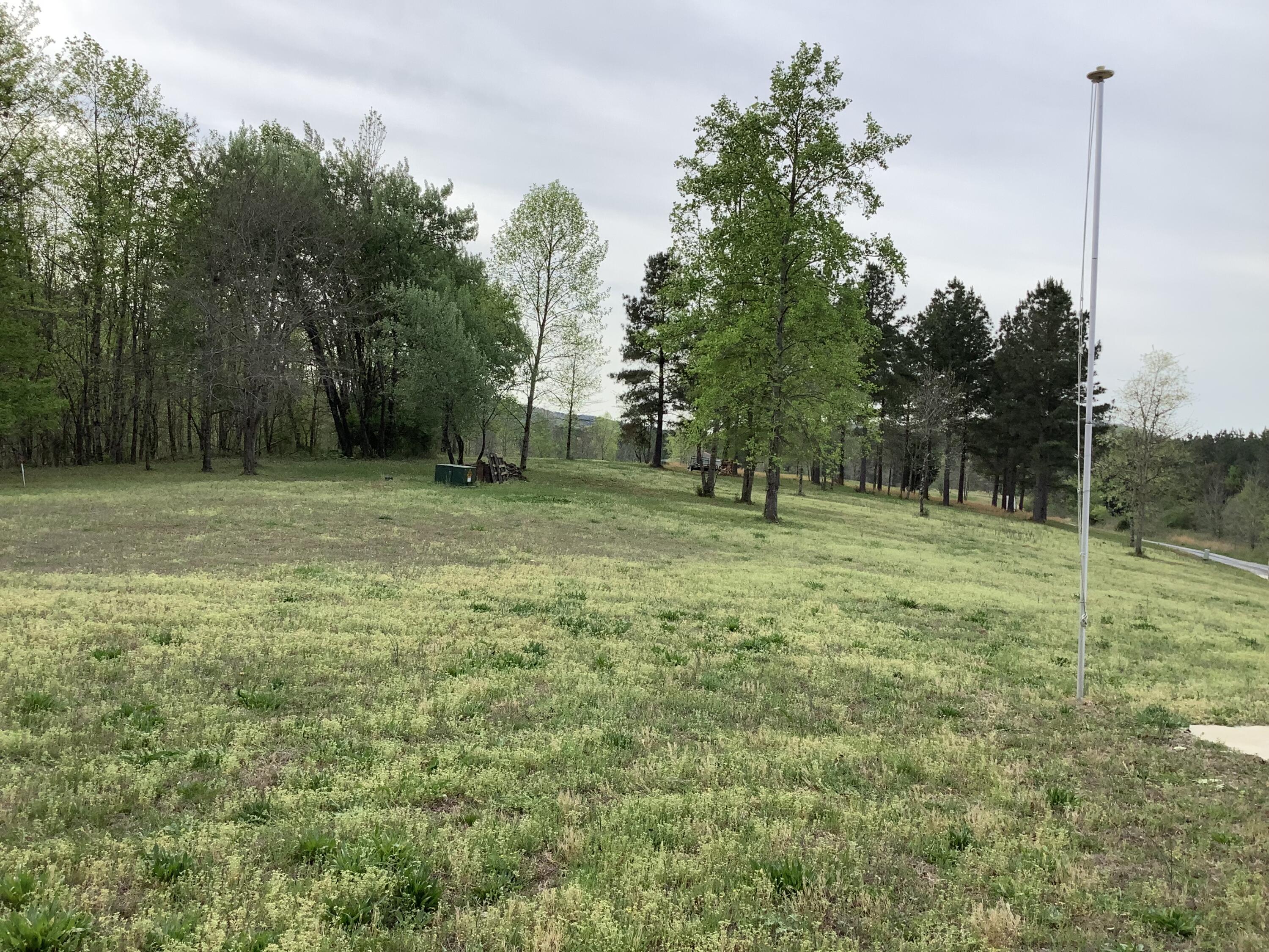 2515 Cottonport Road Decatur, TN 37322 - Photo 5 of 89 IMG_5454