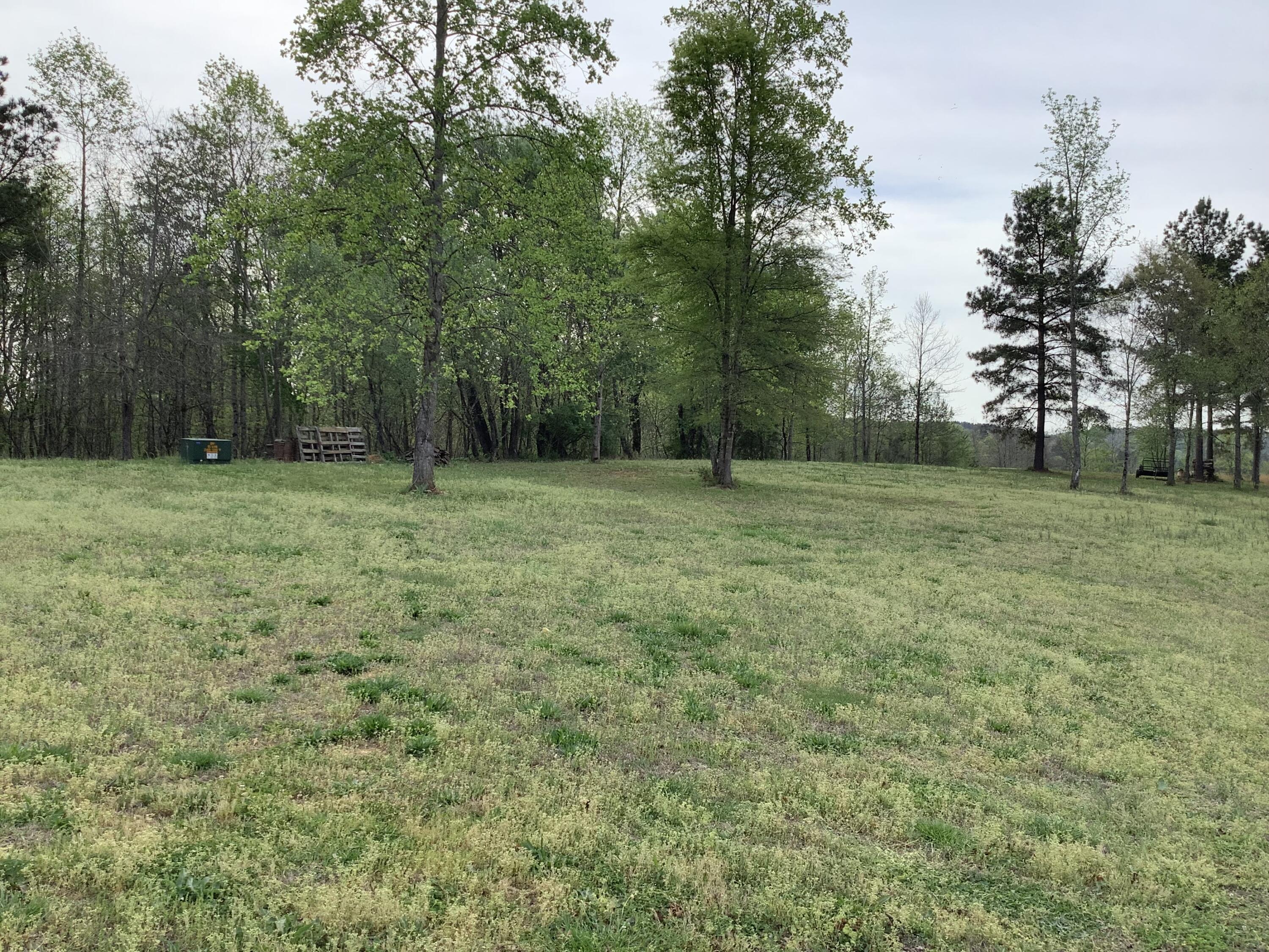 2515 Cottonport Road Decatur, TN 37322 - Photo 66 of 89 IMG_5451