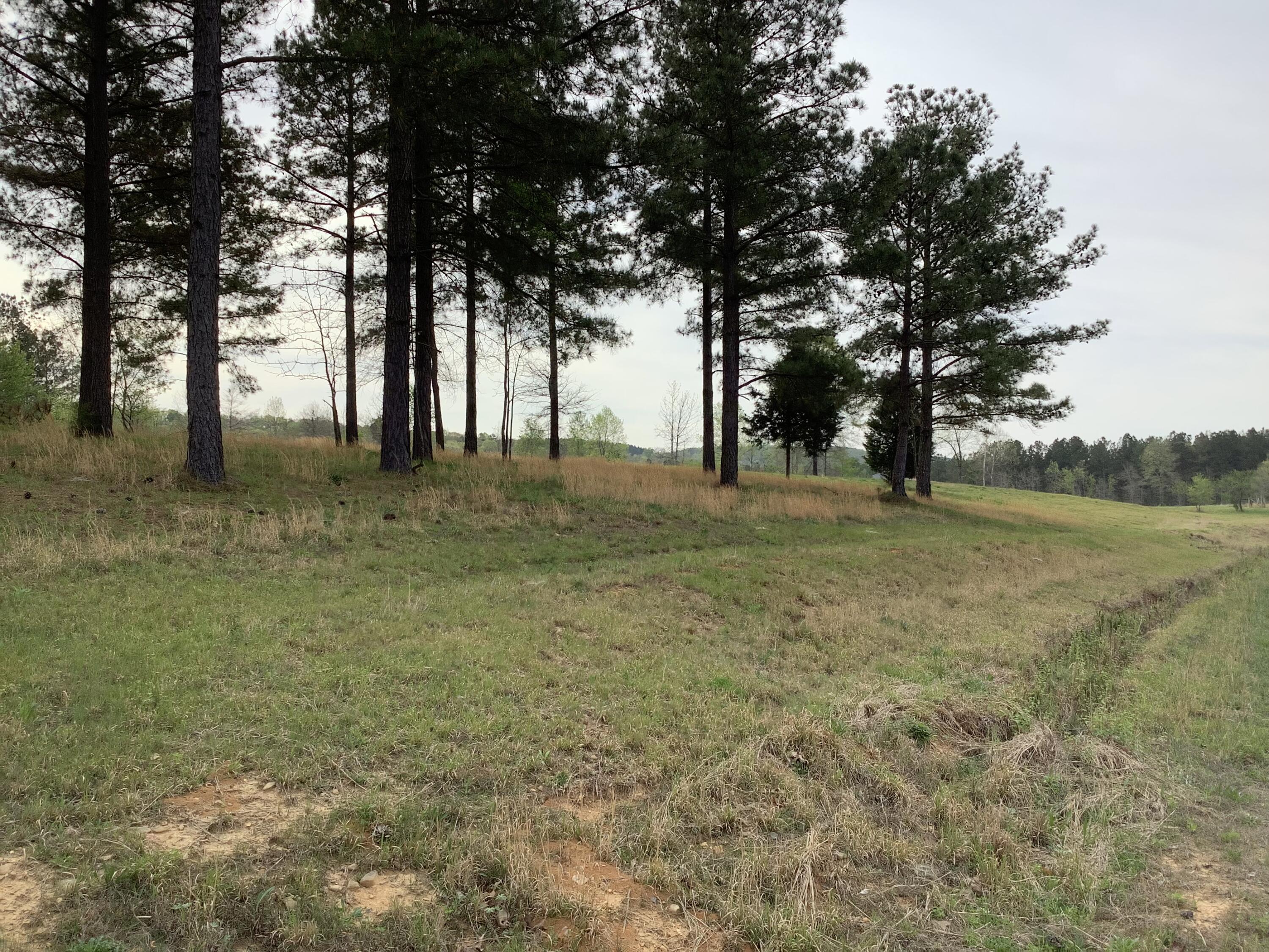 2515 Cottonport Road Decatur, TN 37322 - Photo 68 of 89 IMG_5443