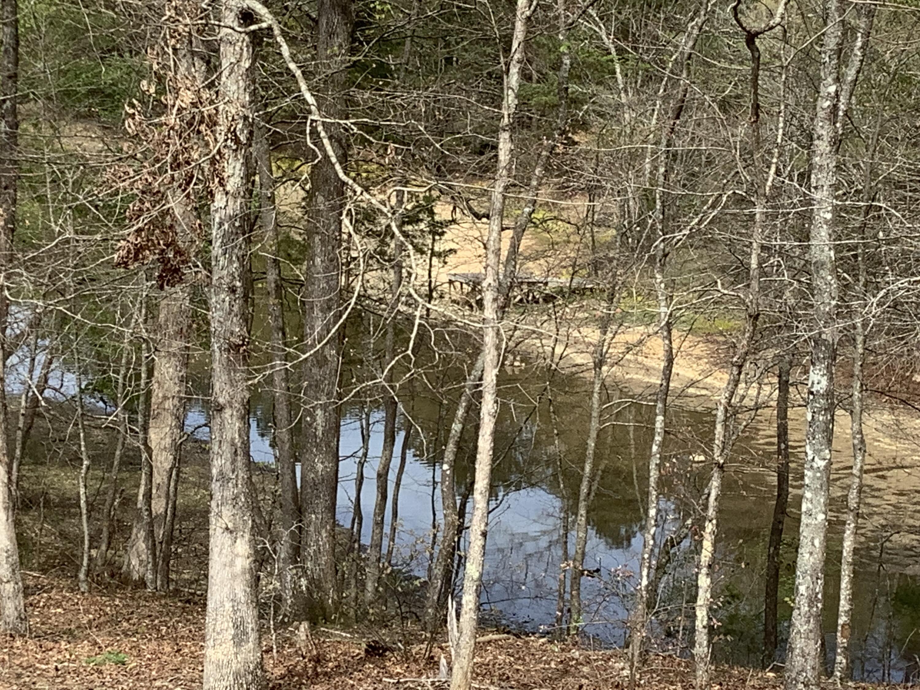 2515 Cottonport Road Decatur, TN 37322 - Photo 85 of 89 IMG_5539