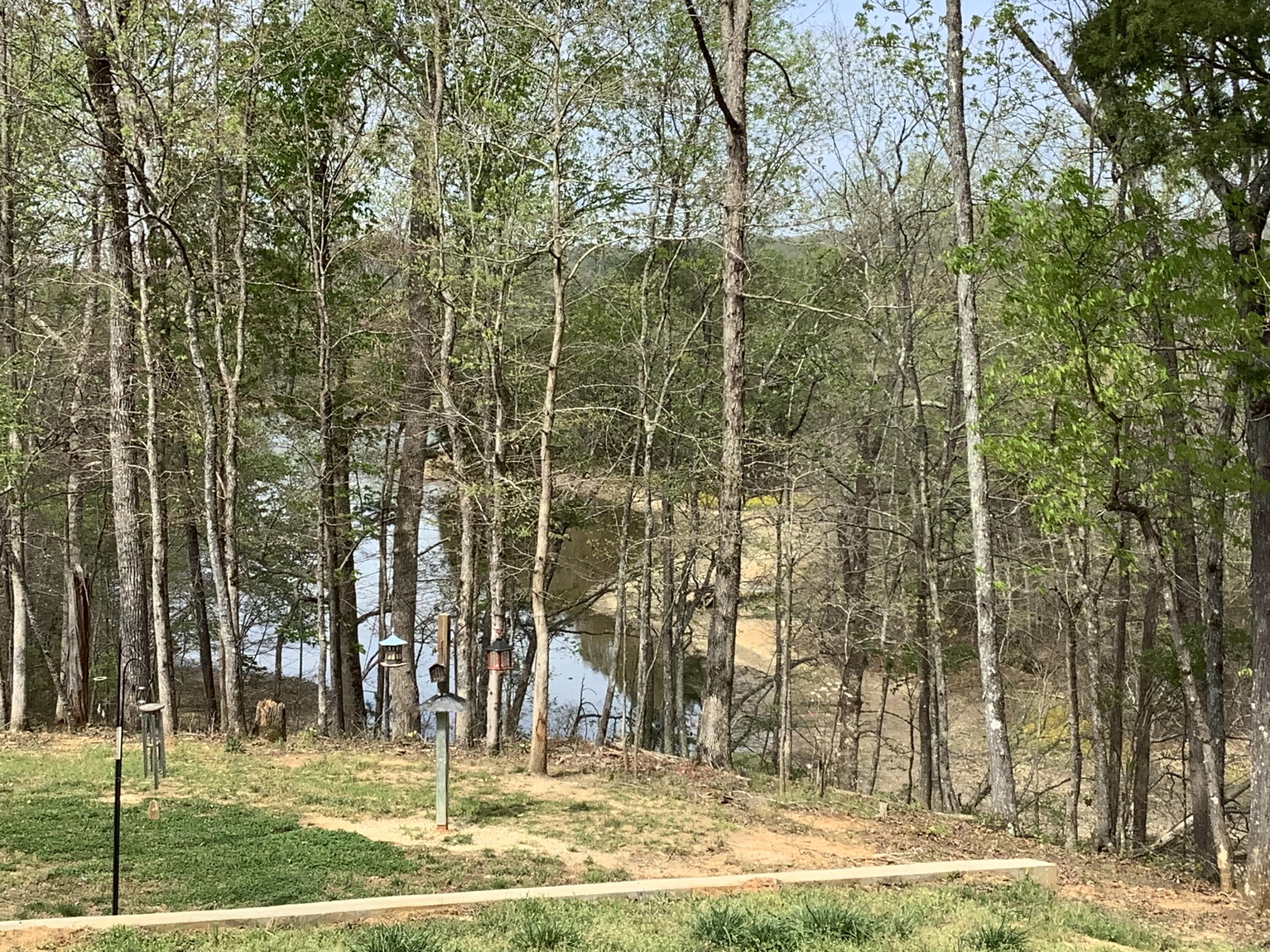 2515 Cottonport Road Decatur, TN 37322 - Photo 88 of 89 IMG_5548