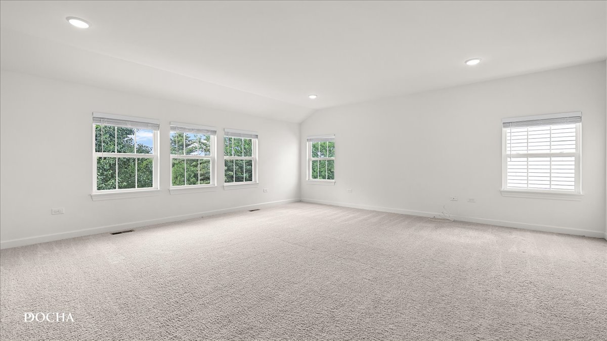 4335 Little Leaf Road Naperville, IL 60564 - Photo 39 of 53