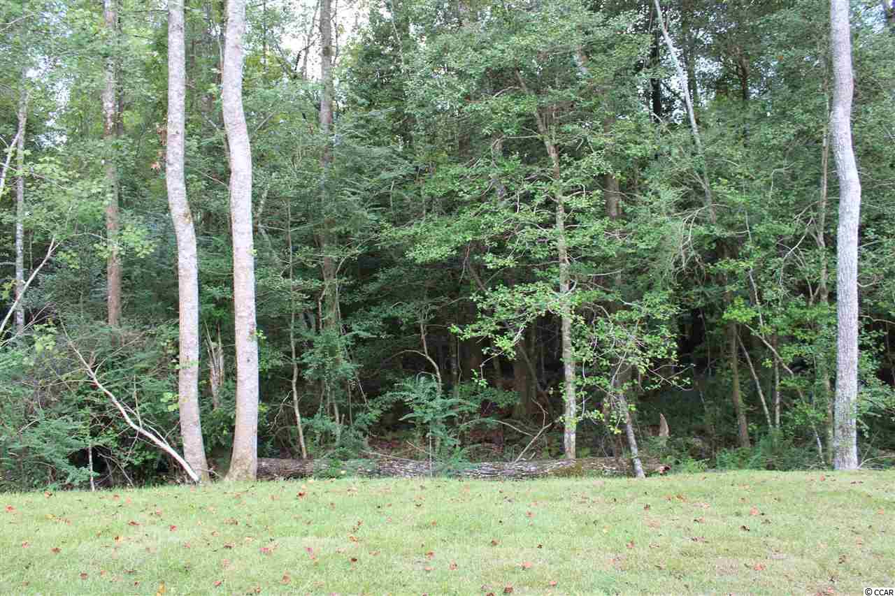 130 Allsbrook Road Loris, SC 29569 - Photo 21 of 39 Gallery Image 21