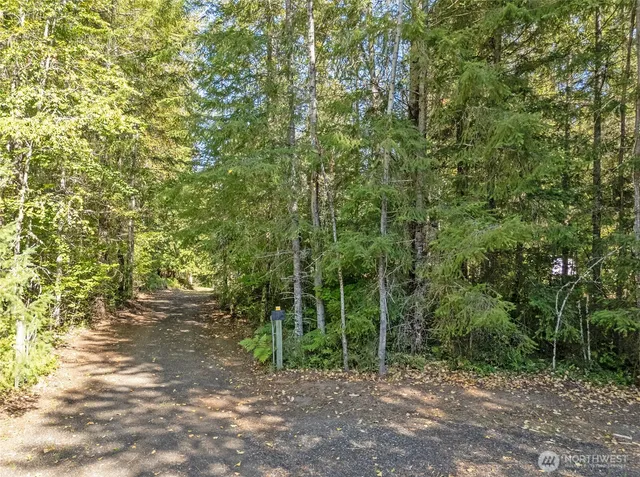 $475,000 | 170 Glacier Drive, Mineral, WA 98355