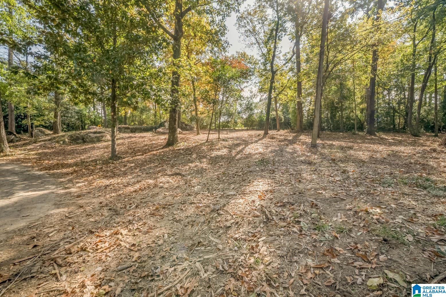 3300 Sherwood Road Birmingham, AL 35223 - Photo 15 of 16