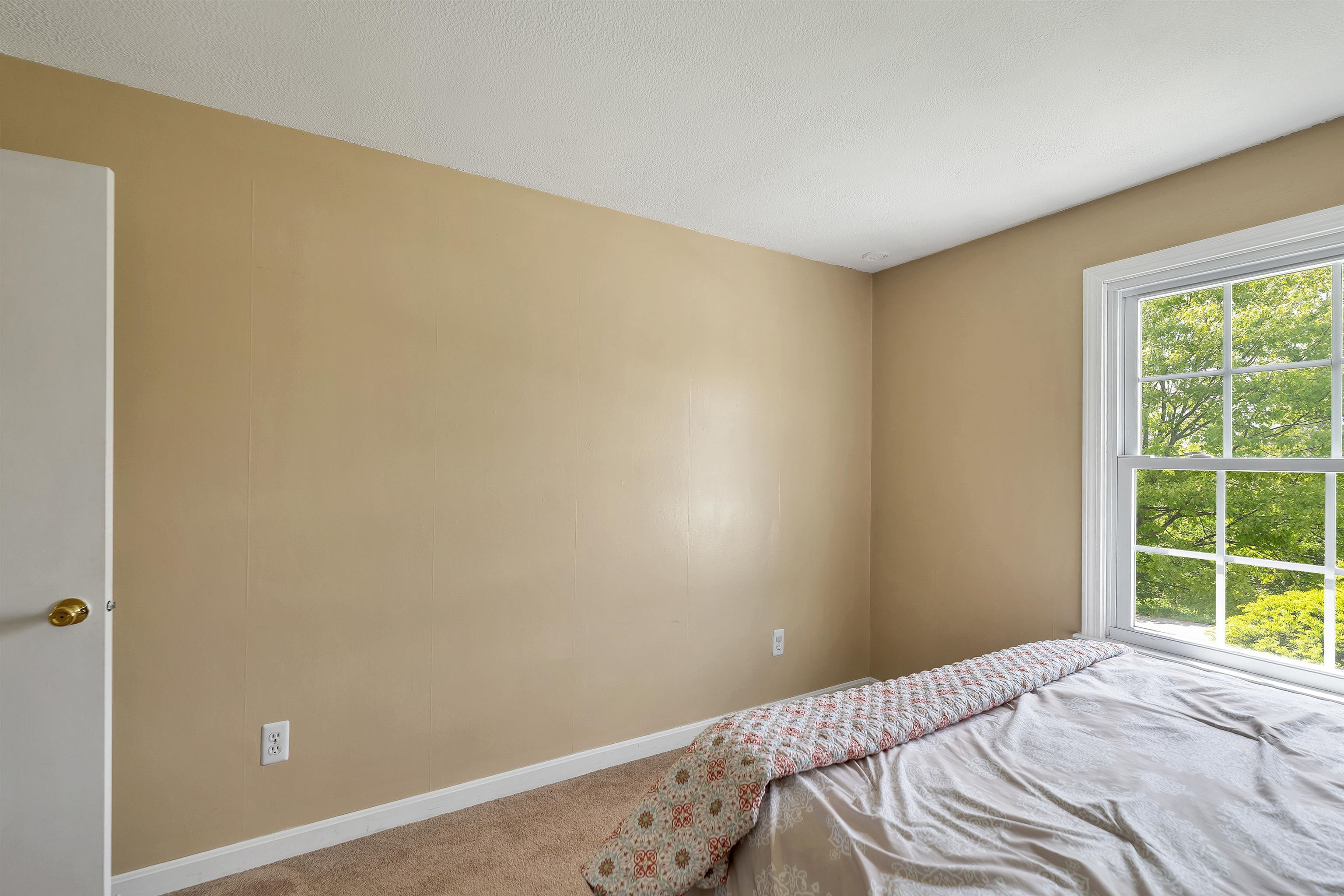 297 Liberty Hill Road Gilford, NH 03249 - Photo 29 of 60